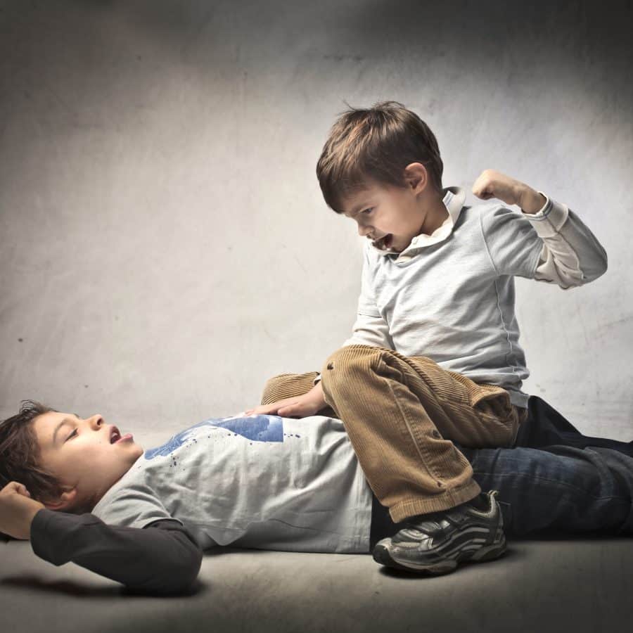 Sibling Fight! Dealing With Quarrelsome Children